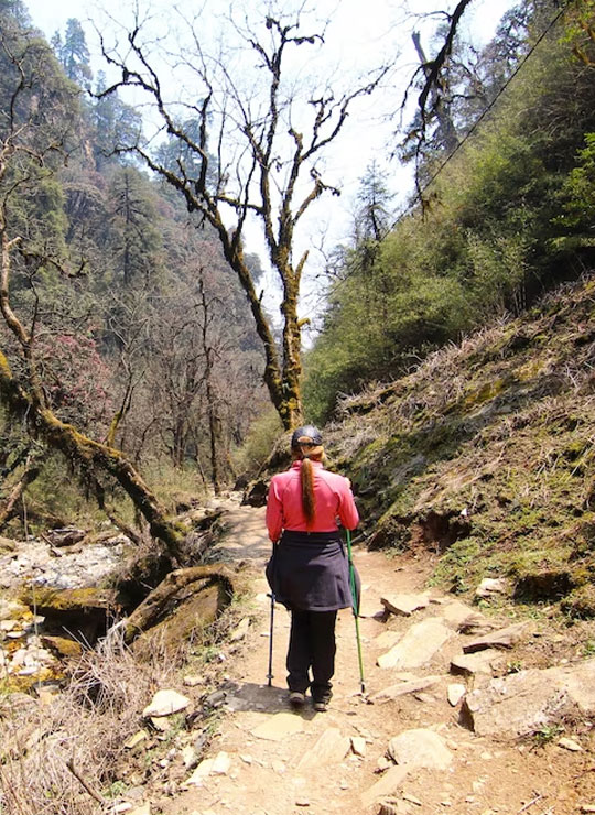 Trecking
